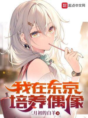 领主骑士类排行榜