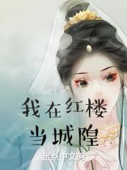 老婆大人一4全文免费阅读