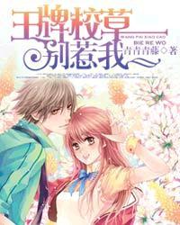 重生之四合院我是贾爸