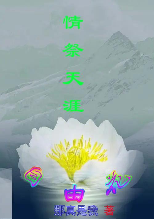 我赛场通天代免费